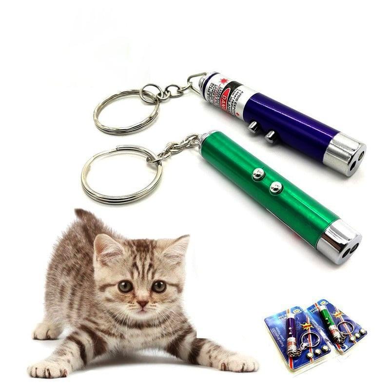 Đèn laze đồ chơi chó mèo, đèn pin 2 trong một phụ kiện móc treo chìa khóa