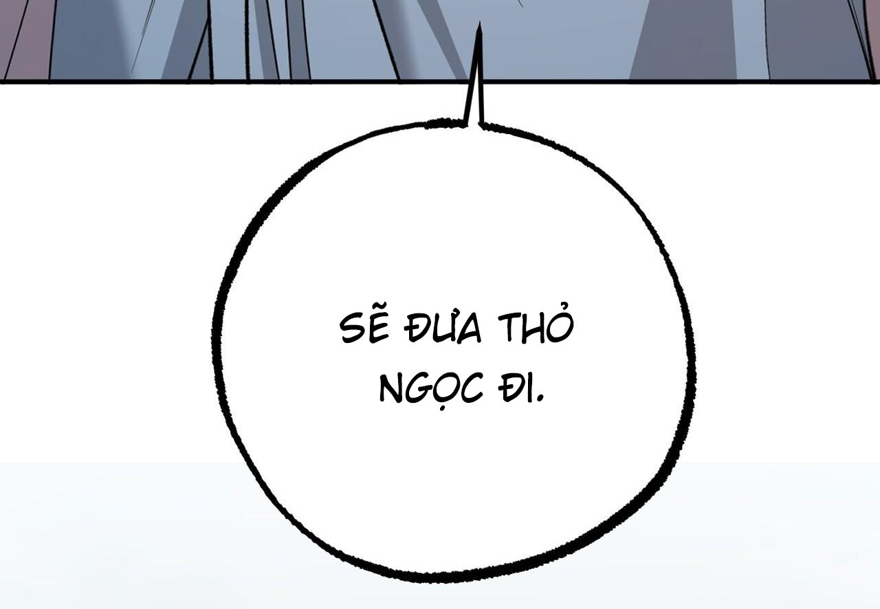 những chú thỏ của hapypy chapter 62 6