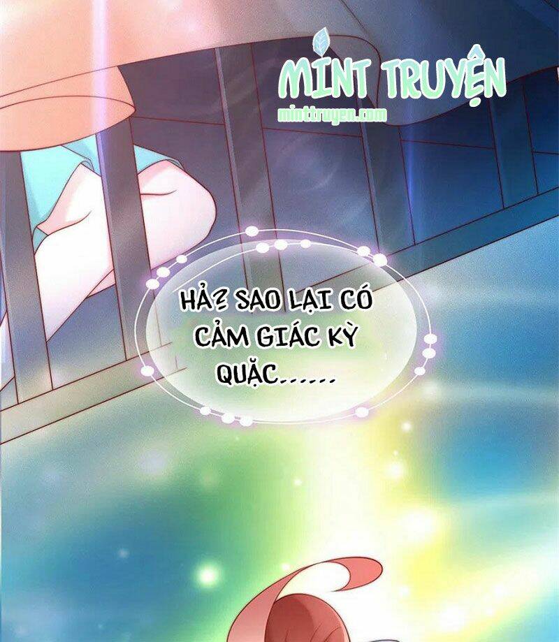 nam thần truy thê chỉ nam chapter 112.2 3