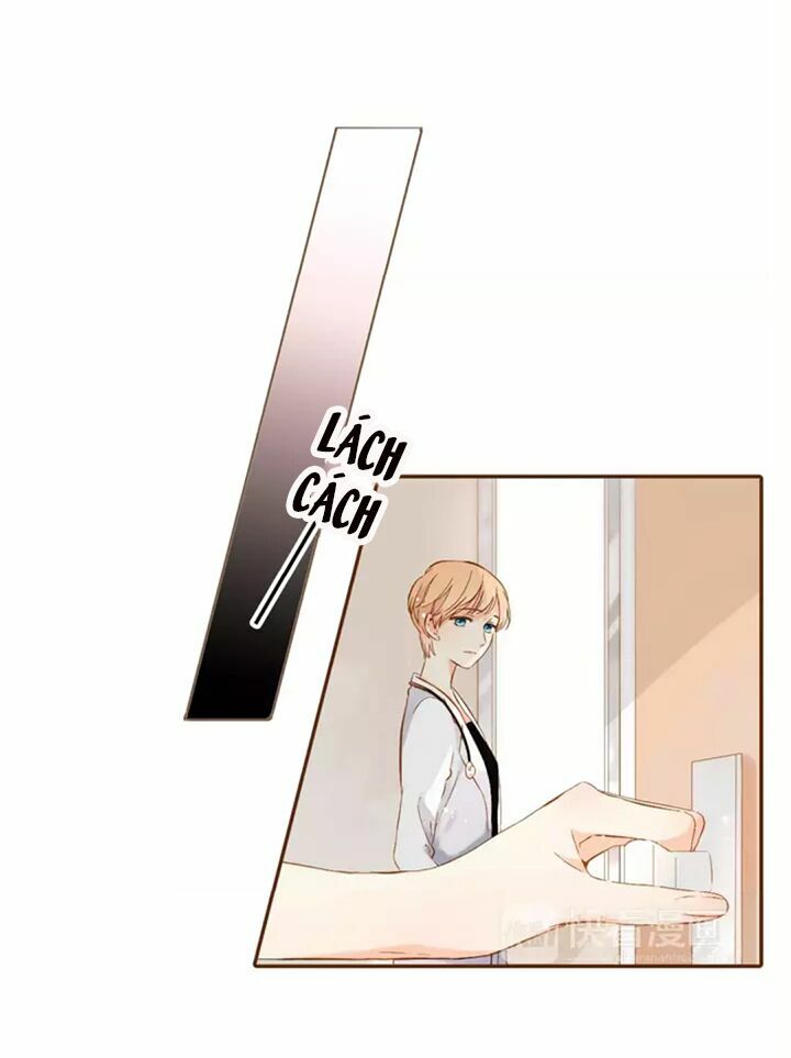 Tình yêu là màu hoa anh thảo chapter 31.1 20