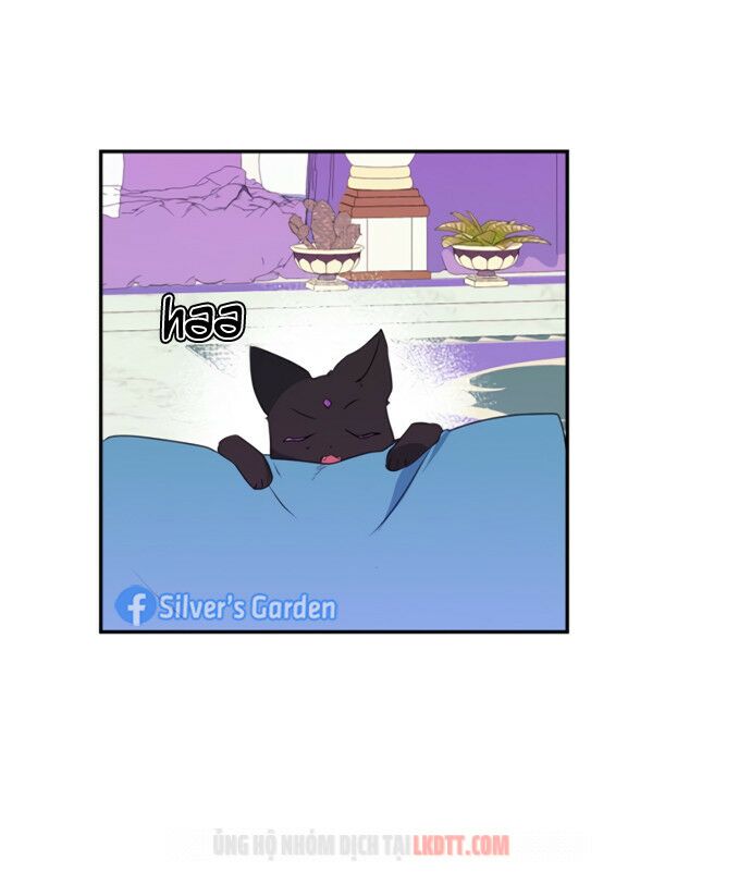 tôi đang nuôi dưỡng một con quái thú chapter 19 49