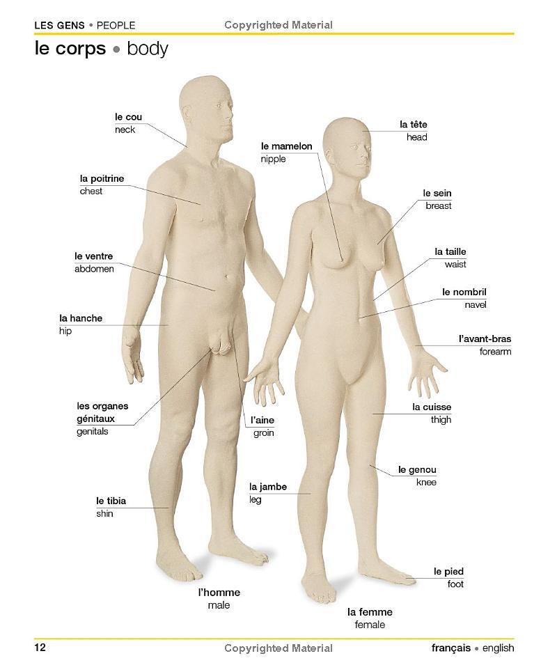 Sách ngoại văn: French English Bilingual Visual Dictionary