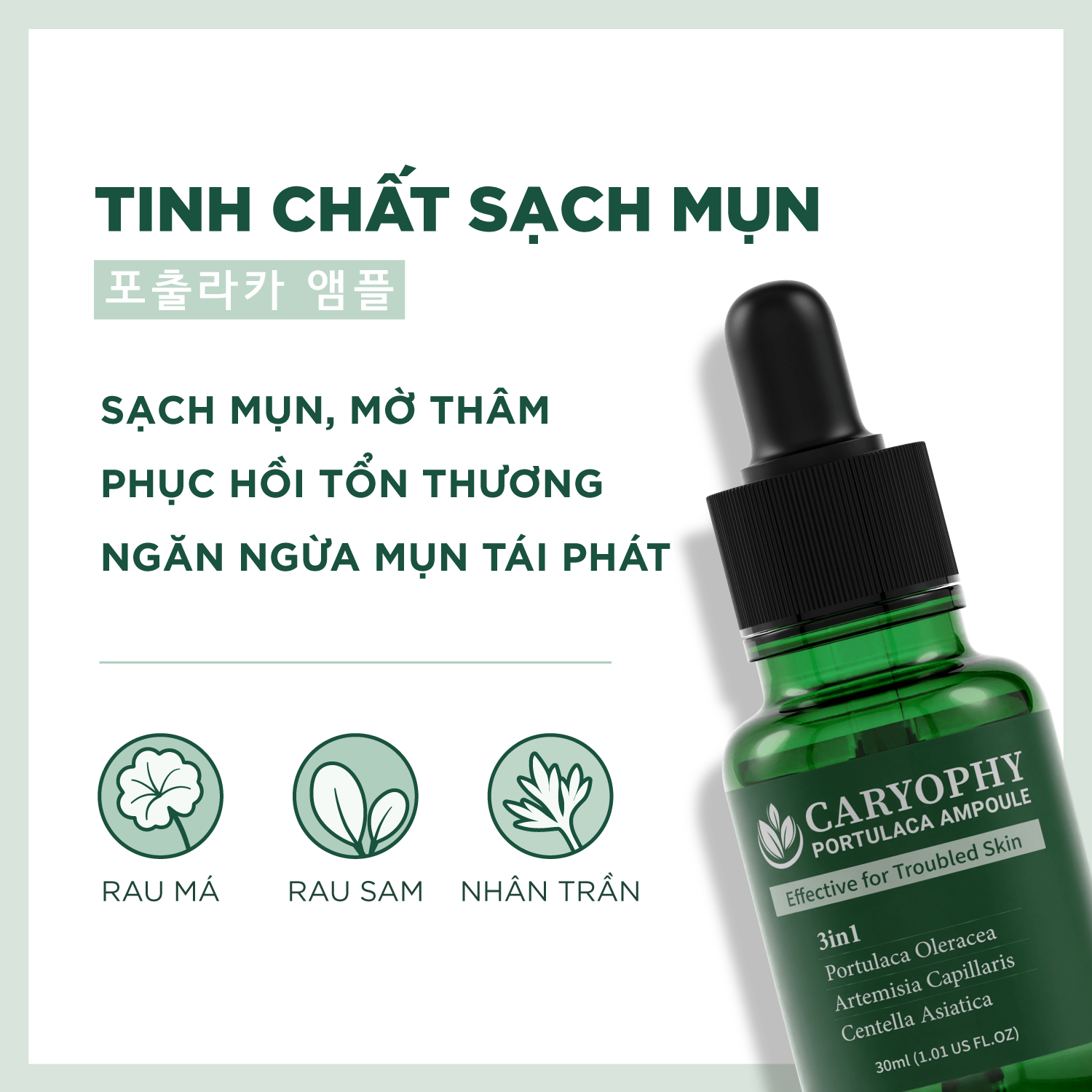 Serum ngừa mụn Caryophy Portulaca Ampoule (30ml)