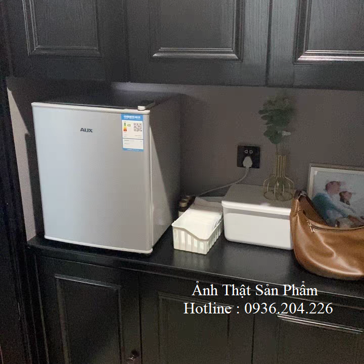 Tủ lạnh mini AUX 22 Lit - Tủ lạnh đựng mĩ phẩm, tủ lạnh mini trữ sữa, thuốc men dùng trong nhà và trên ô tô