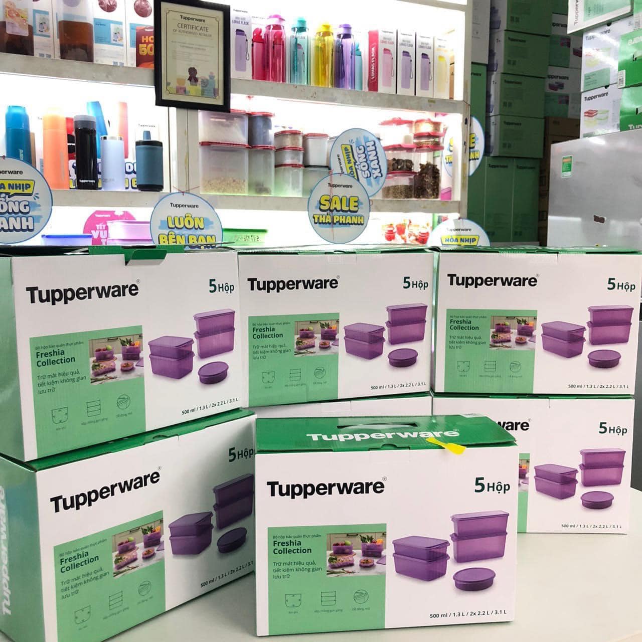 Hộp Trữ Mát Freshia 5 Tupperware, Hộp Trữ Rau Củ Trái Cây Tươi Lâu