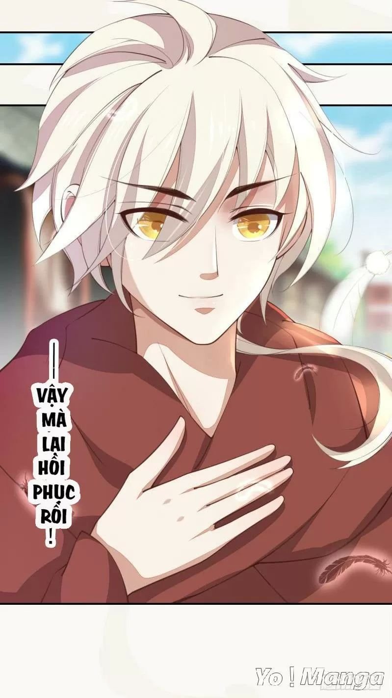 tuyệt thế luyện đan sư chapter 66 28