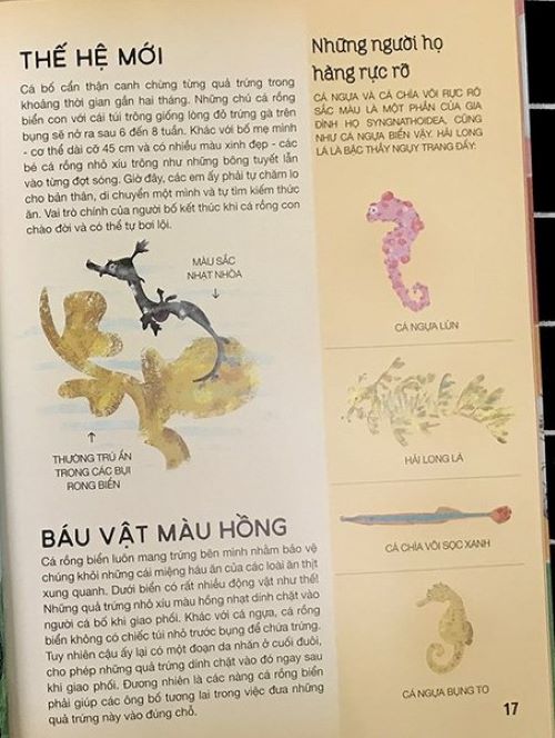 Tất Tần Tật Về Trứng