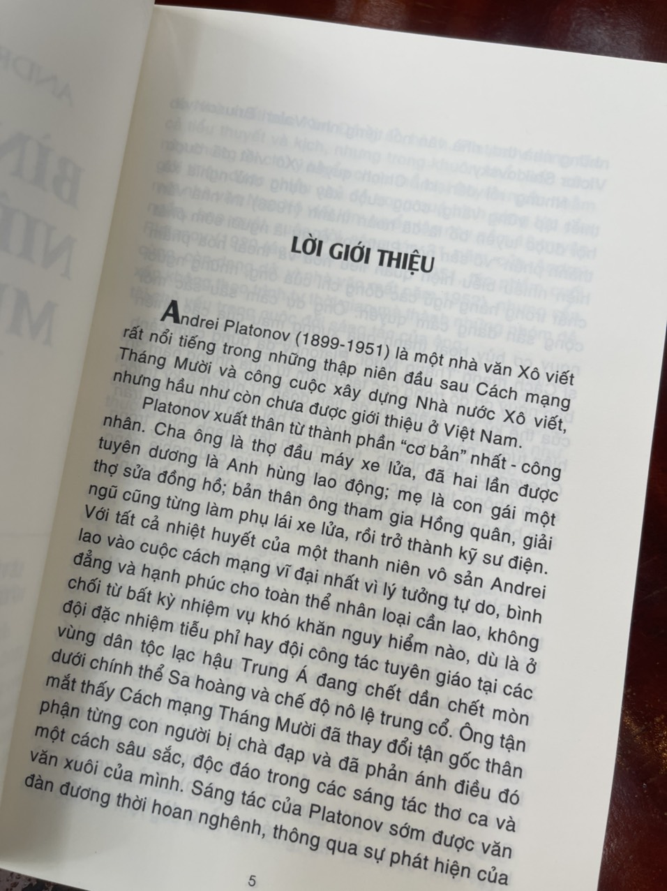 BÌNH MINH NIÊN THIẾU MÙ SƯƠNG – Vũ Thế Khôi tuyển chọn tập truyện ngắn - Andrei Platonov - NXB Văn Học