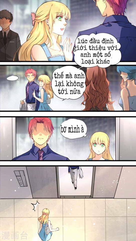 giám đốc chồng cũ nóng như lửa chapter 1 12