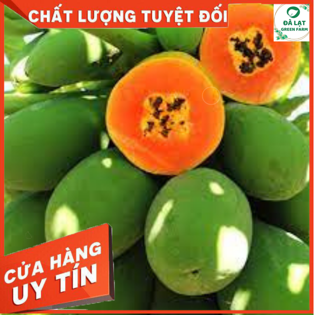 Hạt giống đu đủ lùn ruột đỏ cao sản F1