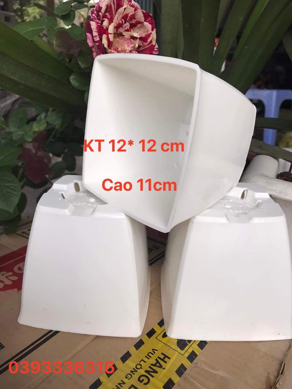 Chậu nhựa vuông V12 trồng hoa cây cảnh văn phòng hàng loại 1 KT 12x12x10cm
