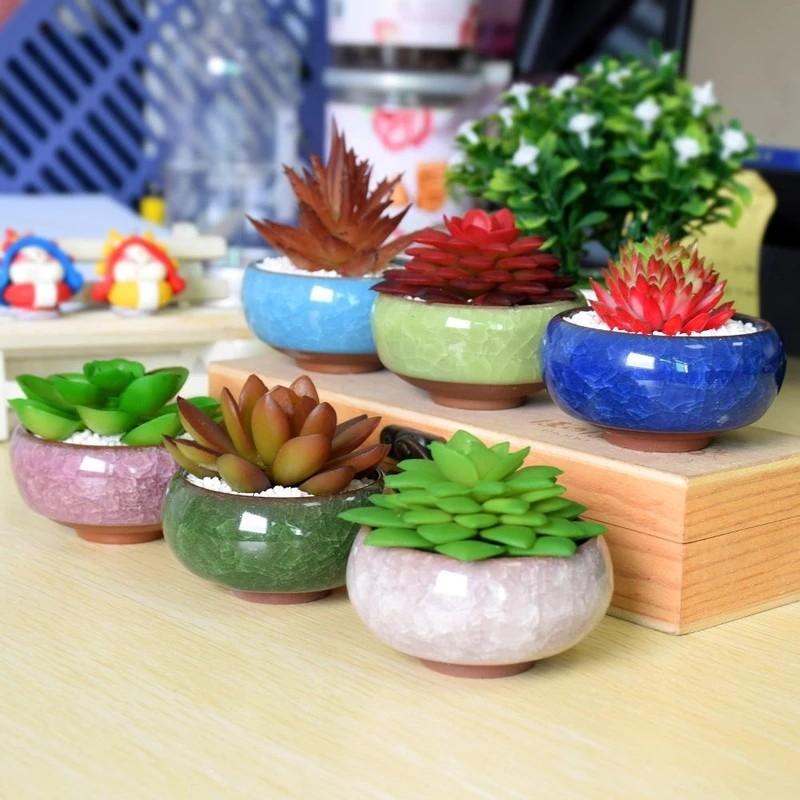 Chậu Trồng Cây Mini Trang Trí Bàn Làm Việc