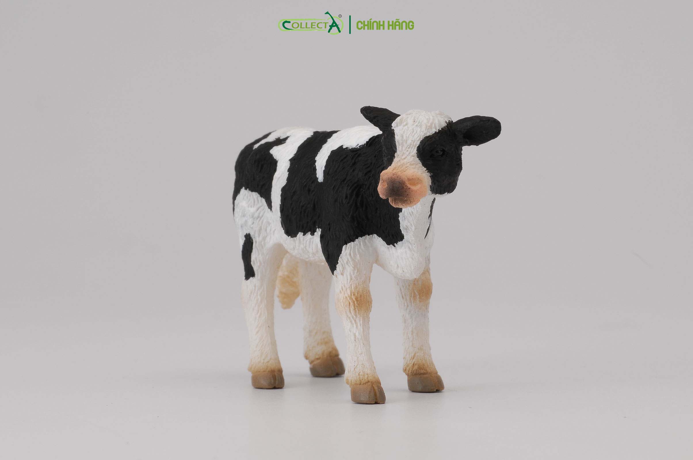 Mô hình thu nhỏ: Bò Hà Lan con - Đứng - Friesian Calf - Standing, hiệu: CollectA, mã HS 9650072[88483] -  Chất liệu an toàn cho trẻ - Hàng chính hãng