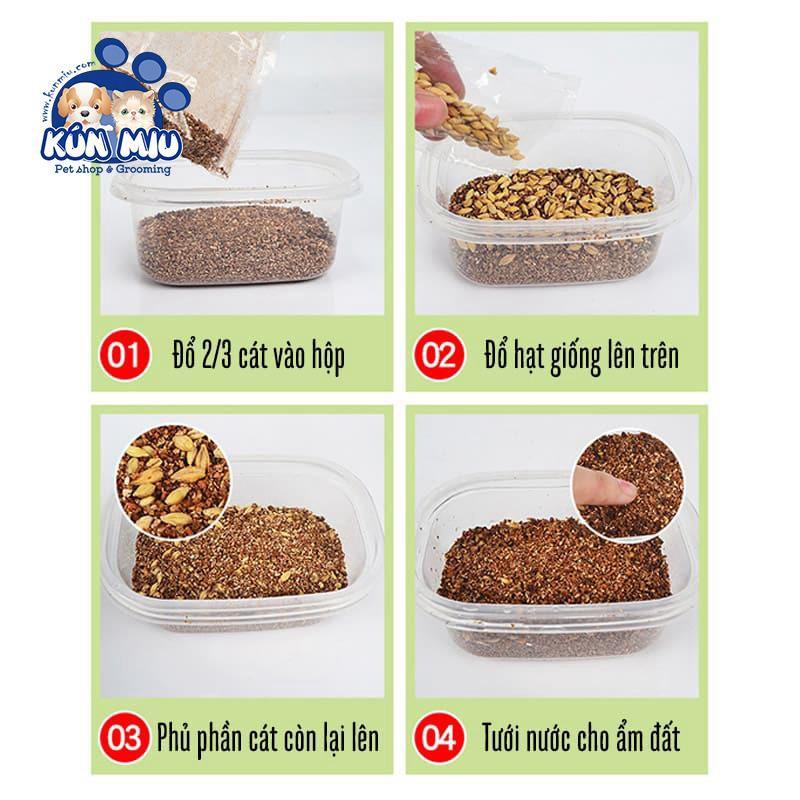 Set hộp hạt giống cỏ trồng và đất cho mèo - Set hạt giống cỏ Ngáo Và Gâu Đần