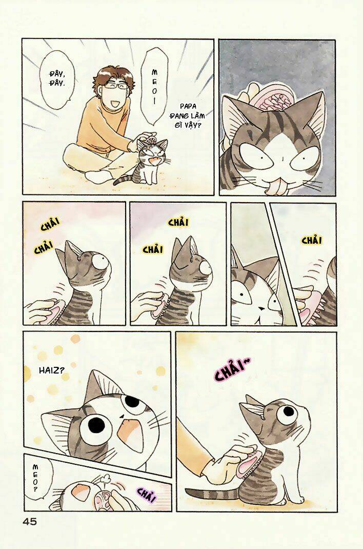 chi's sweet home chapter 80 4