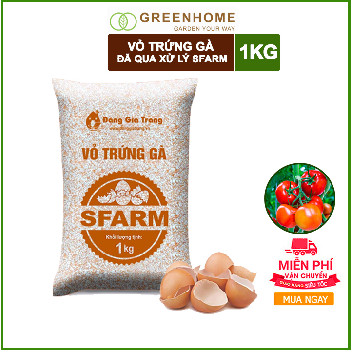 Vỏ trứng gà Sfarm đã qua xử lý