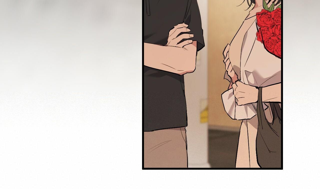 đàn thỏ của habibi chapter 45 239