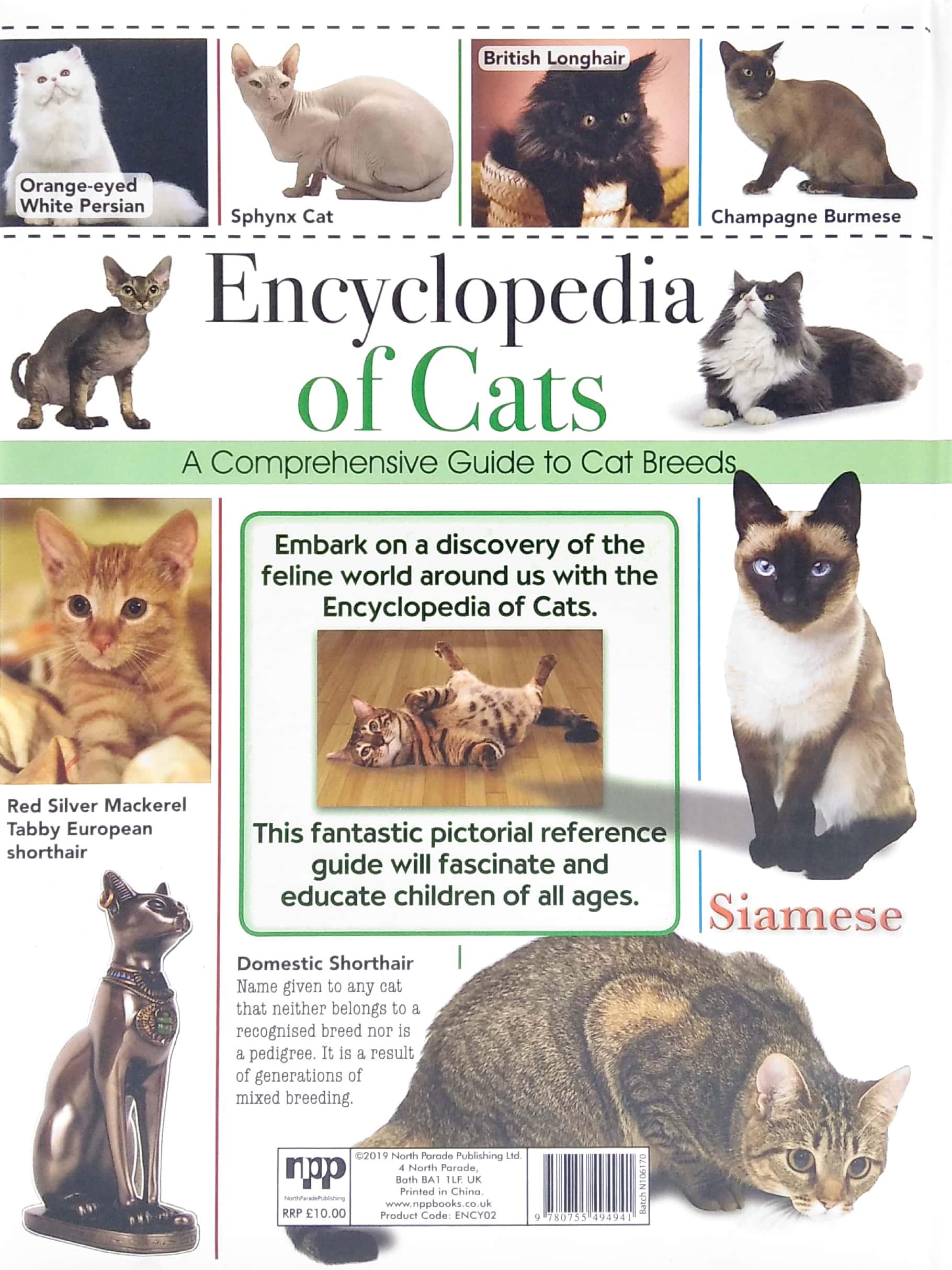 Encyclopedia Of Cats
