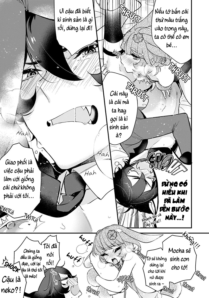 [ 18+ ] thỏ và mèo?! chapter 1 11
