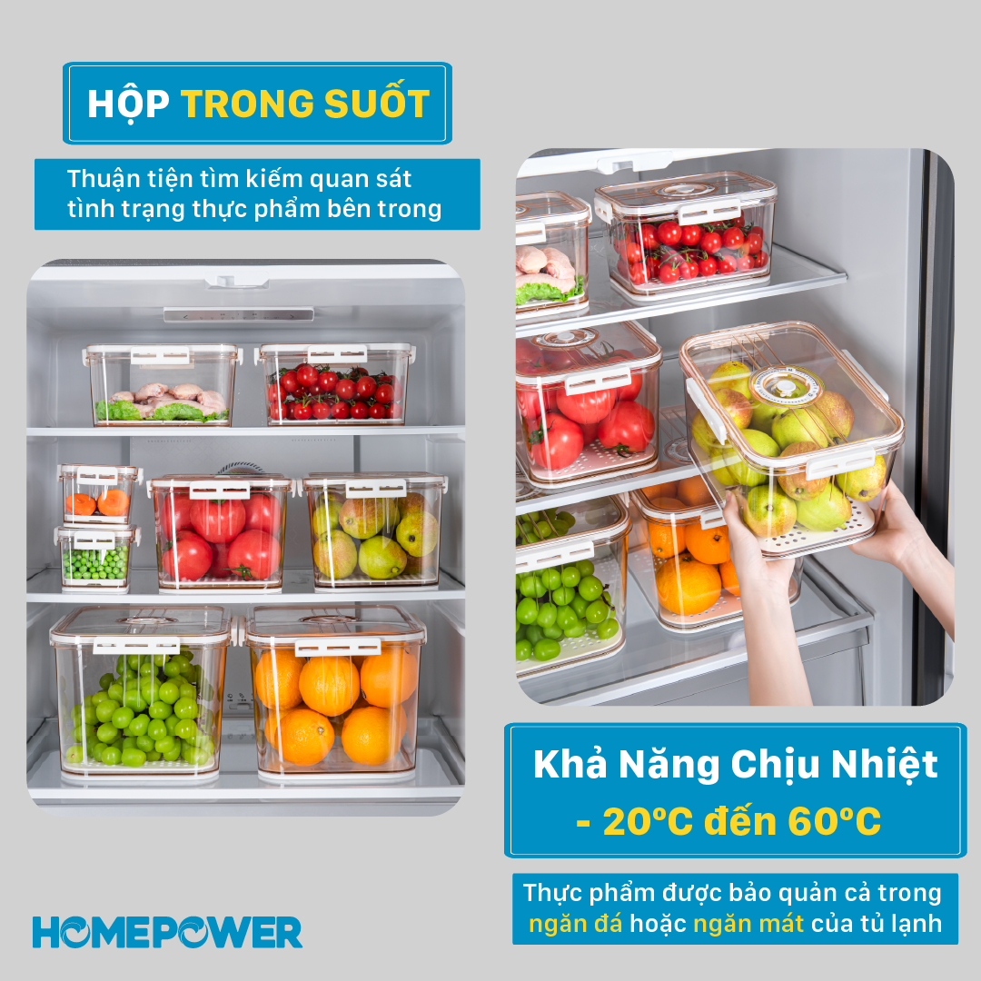 Hộp nhựa đựng thực phẩm Homepower trong suốt có khay lót đáy giúp ráo nước, chất liệu cao cấp, an toàn cho sức khỏe 