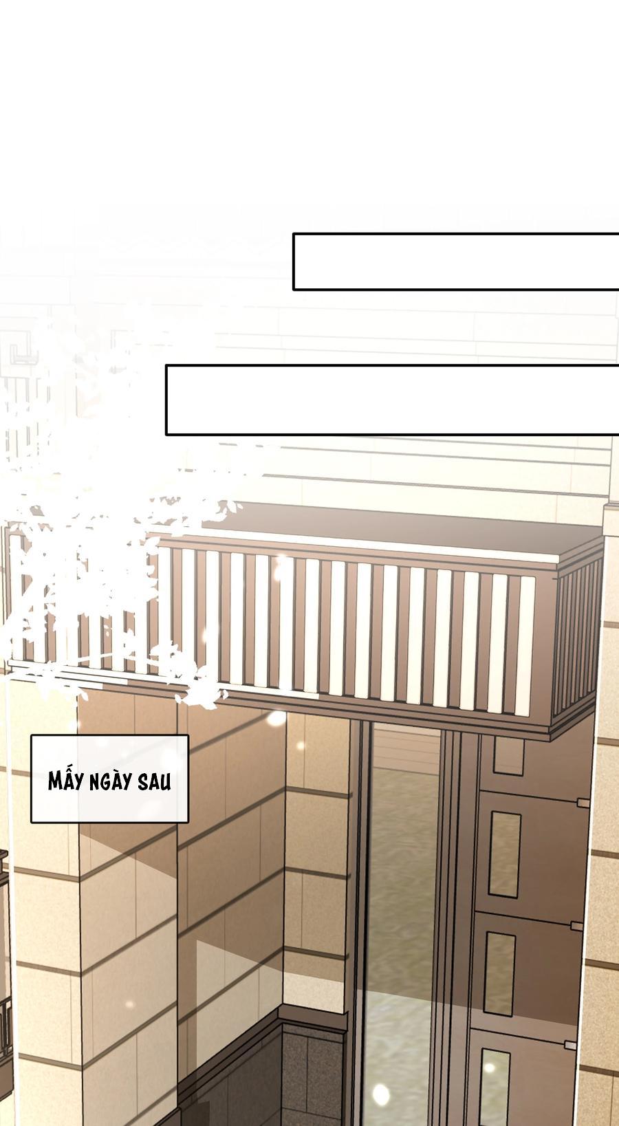 không làm trai bao! chapter 104 18