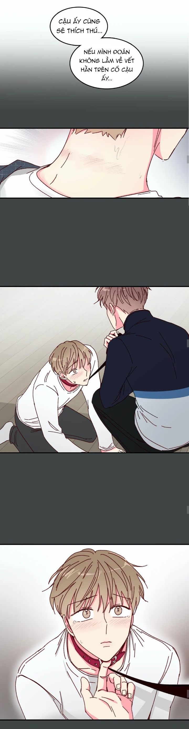 món tráng miệng của sếp tổng chapter 16 6