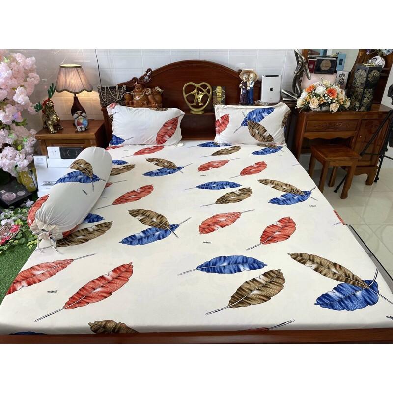 Drap thun Hàn quốc