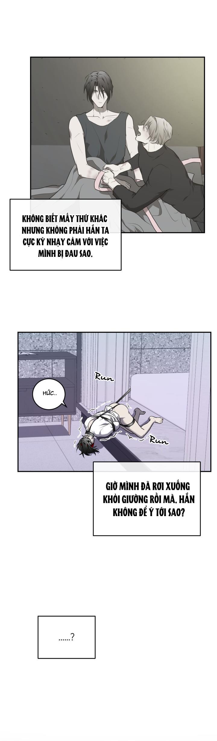 dưỡng thú cưng chapter 14 33