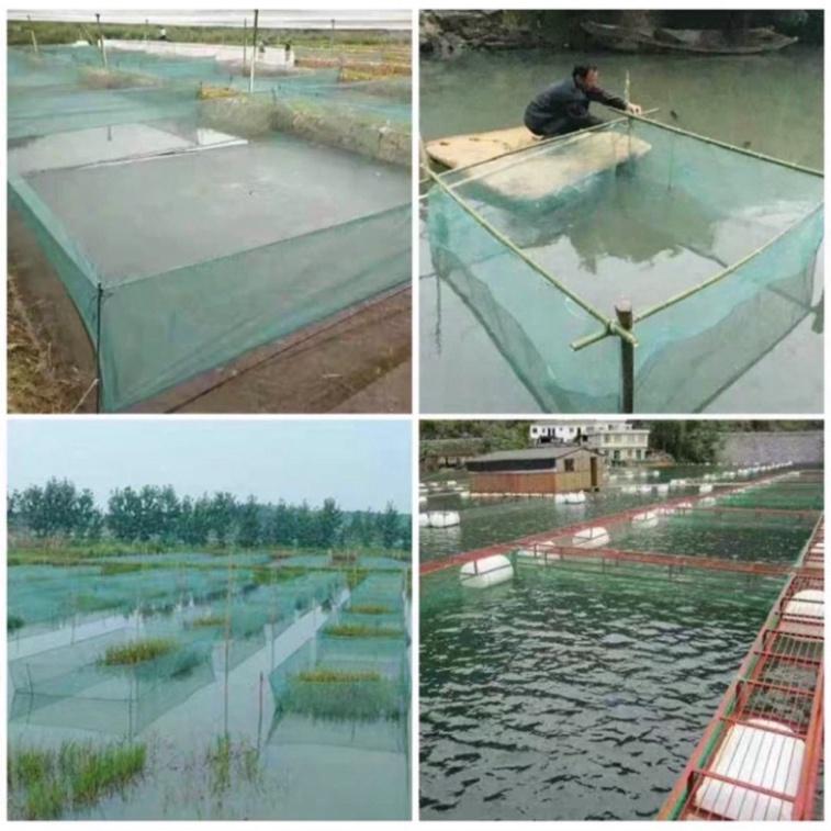 Sale to hot -  VÈO-TRÁNG nuôi ốc, cá, tôm_Bảo Hàng 12 Tháng_Hàng 3 Ly - sale - xả hàng tồn