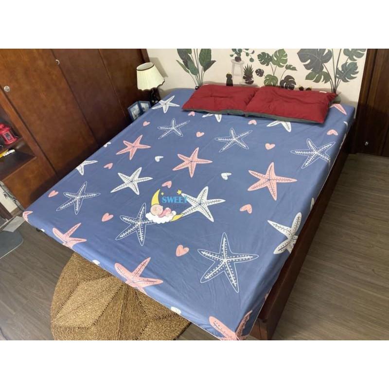 Ga chống thấm 100% cotton kháng khuẩn cao cấp 1m6 VÀ 1m8 nằm trực tiếp