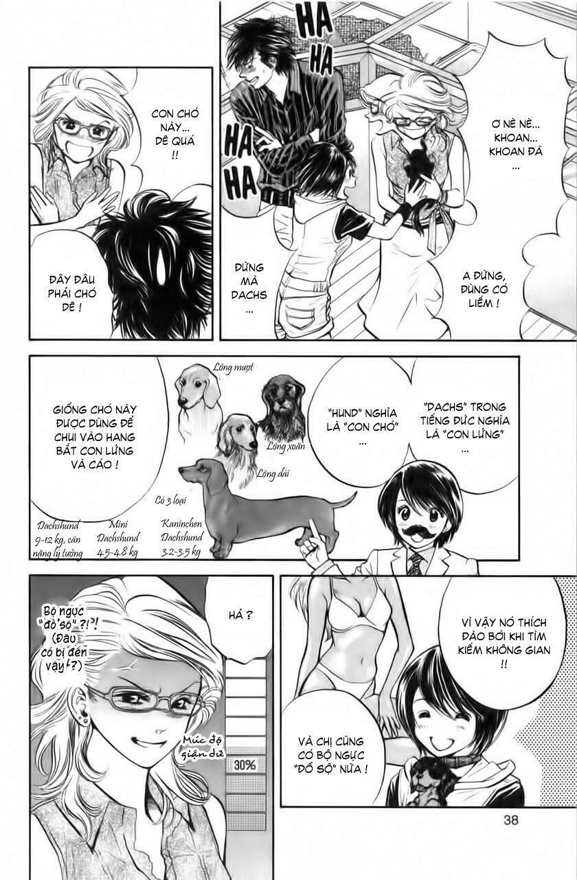 cô nàng yêu chó chapter 32 14
