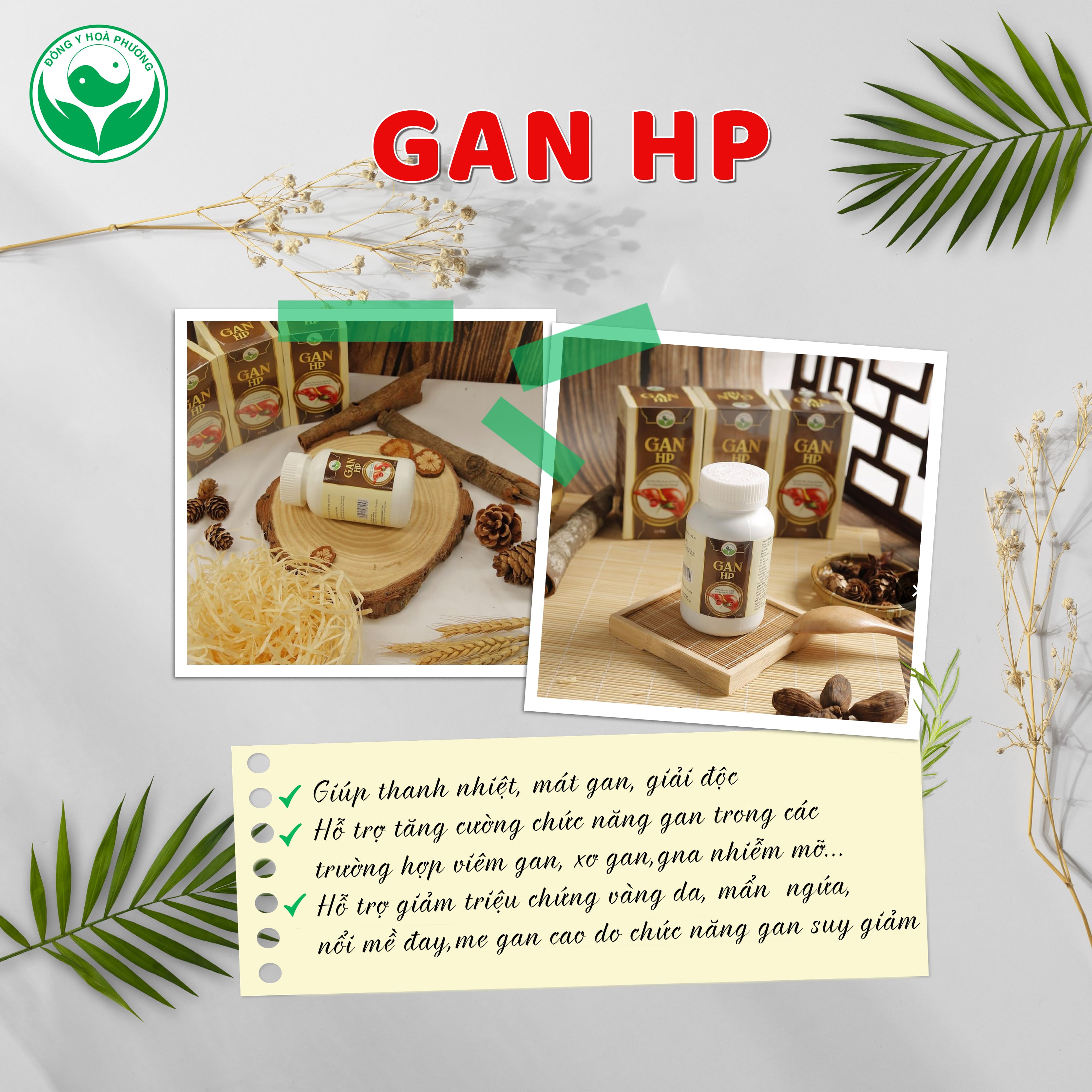 Bổ Gan HP Đông Y Hòa Phương , Giúp thanh nhiệt, mát gan, giải độc gan HP2A