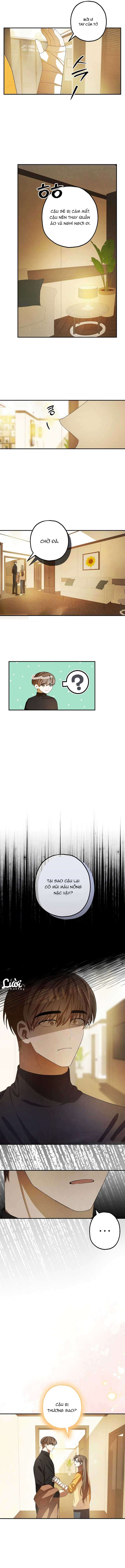 chuỗi thức ăn chapter 12 7