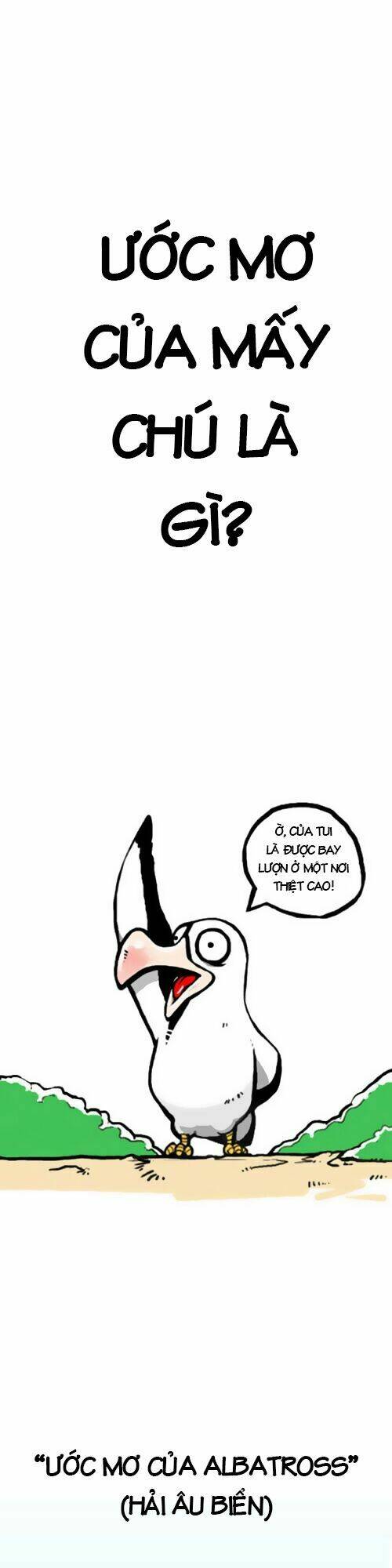 earth, human, and animal chapter 1 2