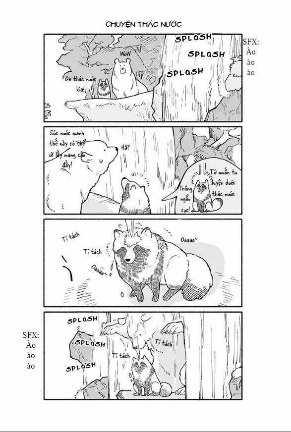 gấu và tanuki chapter 4 2