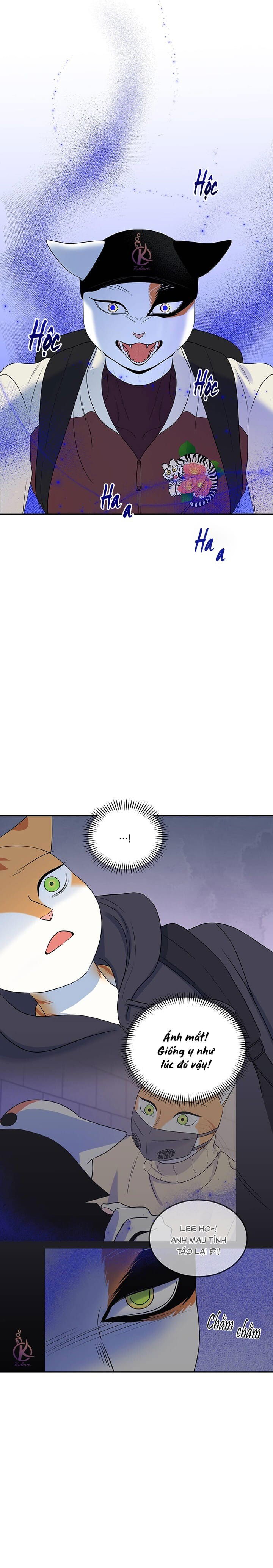 dự án xanh chapter 33 2