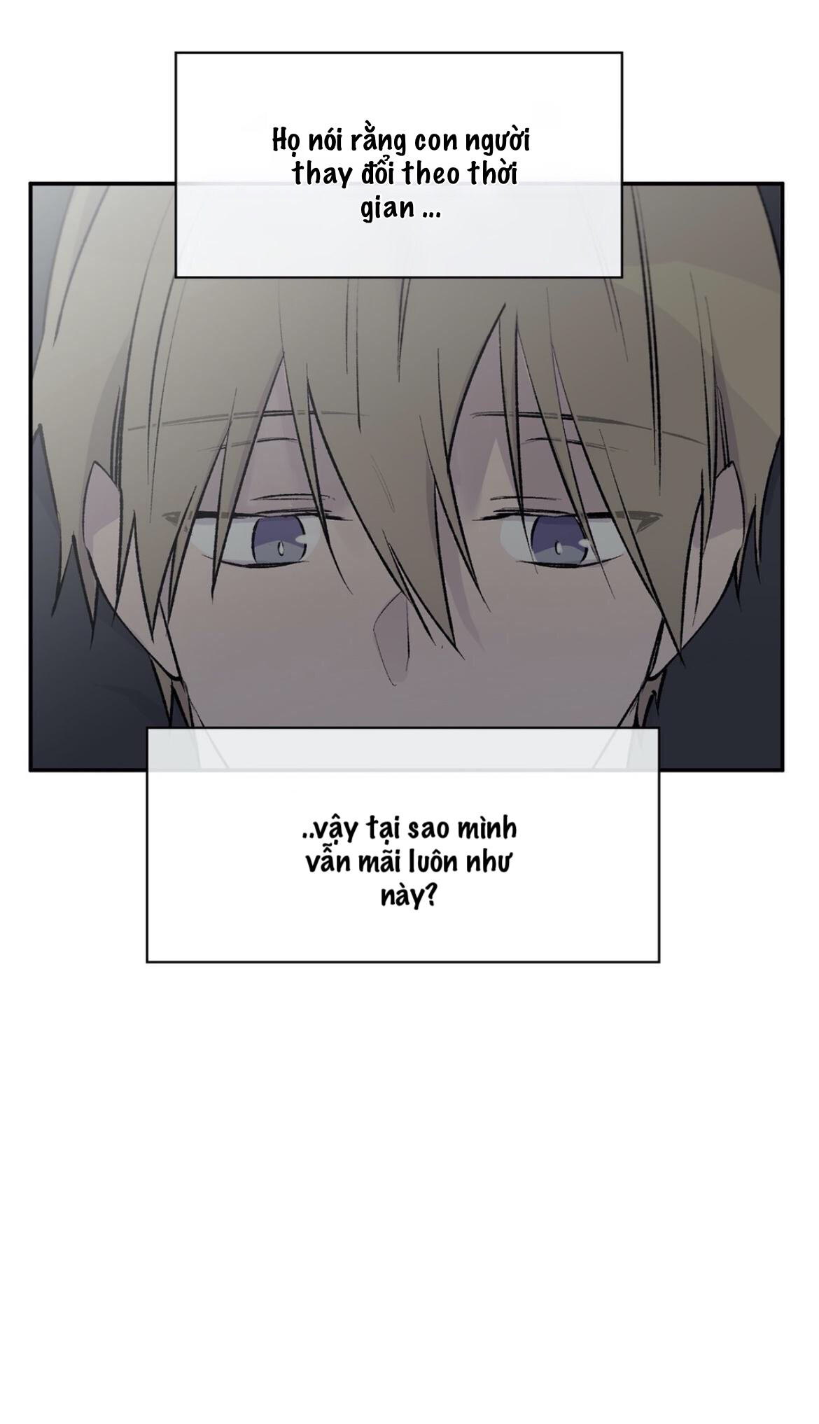 đừng viết nữa, tác giả thân mến! chapter 52 8