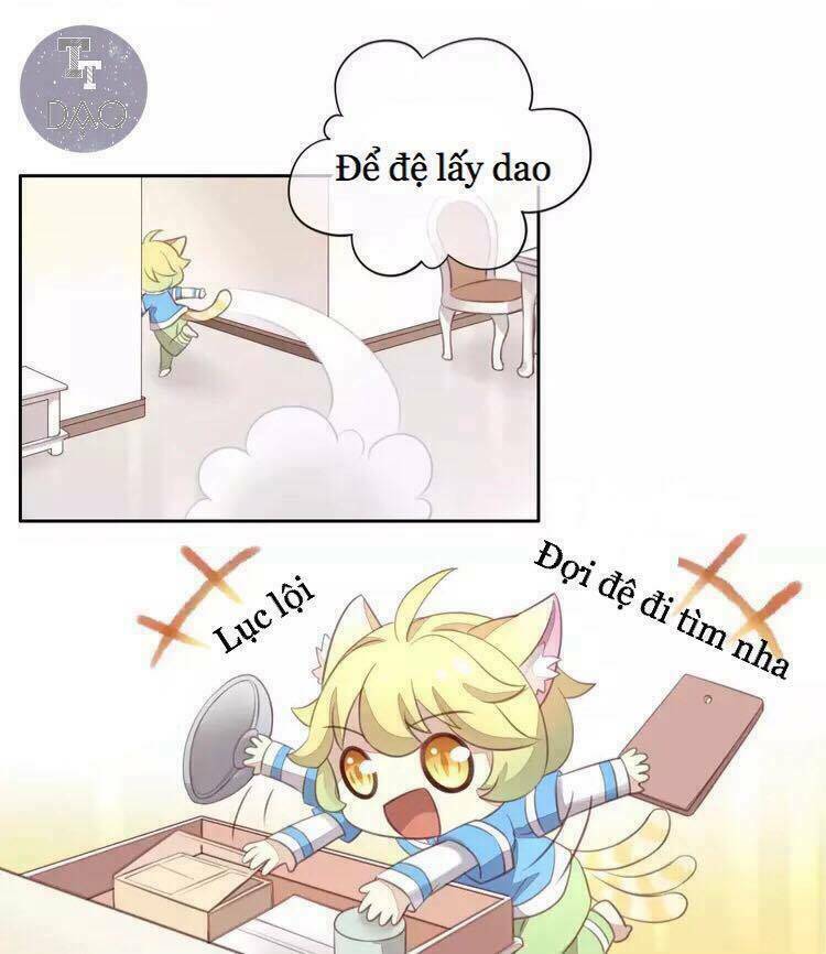 dưới móng vuốt mèo chapter 18 28