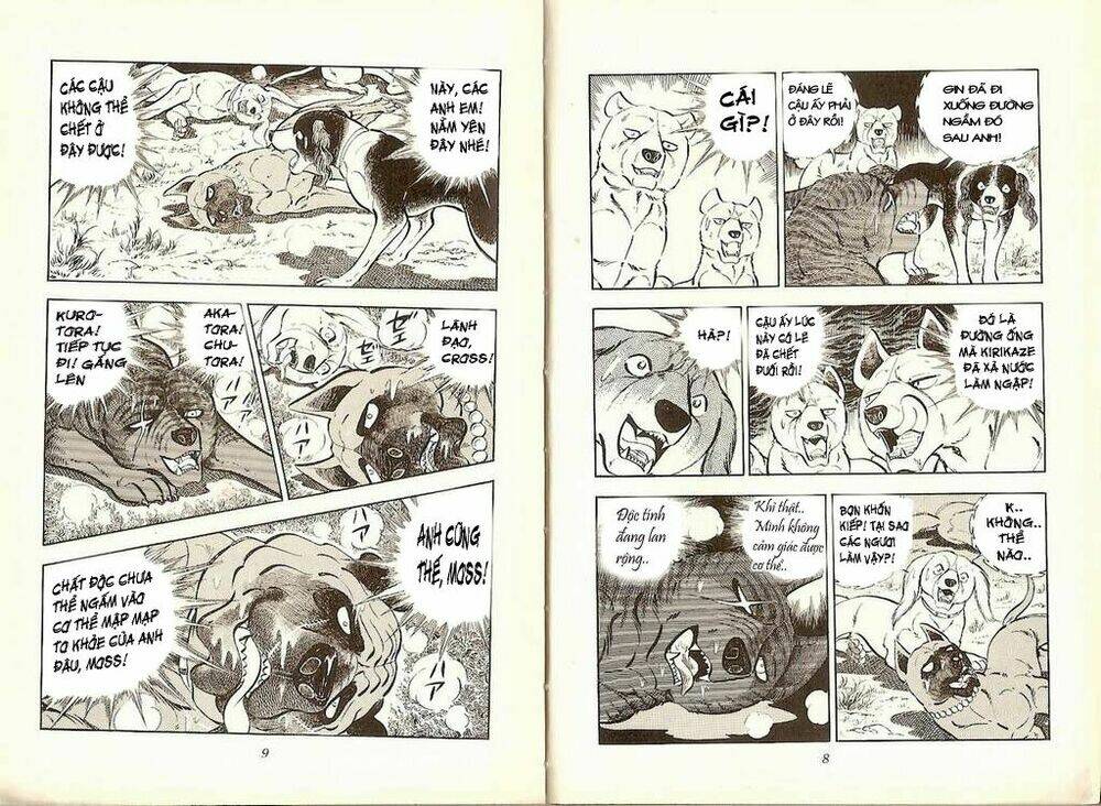 chú chó có nghĩa - ginga nagareboshi gin chapter 19 3