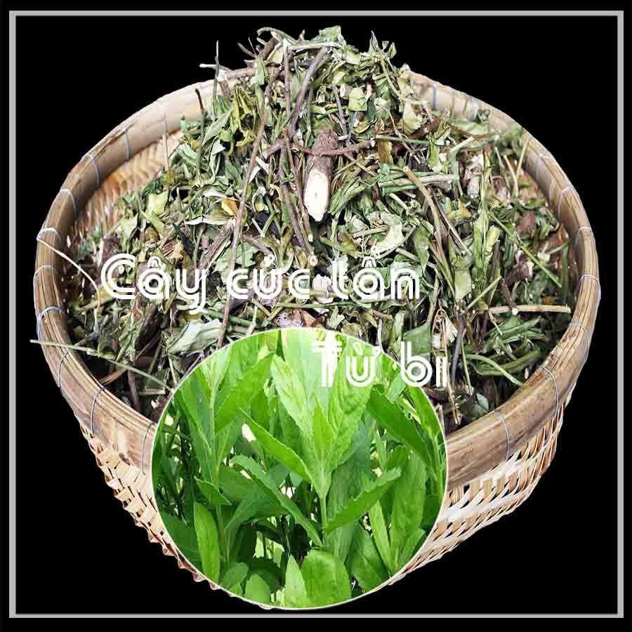 Cây Cúc Tần (Từ Bi, Đại Bi) khô gói 1kg