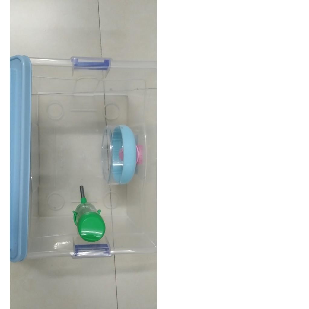 Hộp chữ nhật xách tay cute cho thú nhỏ