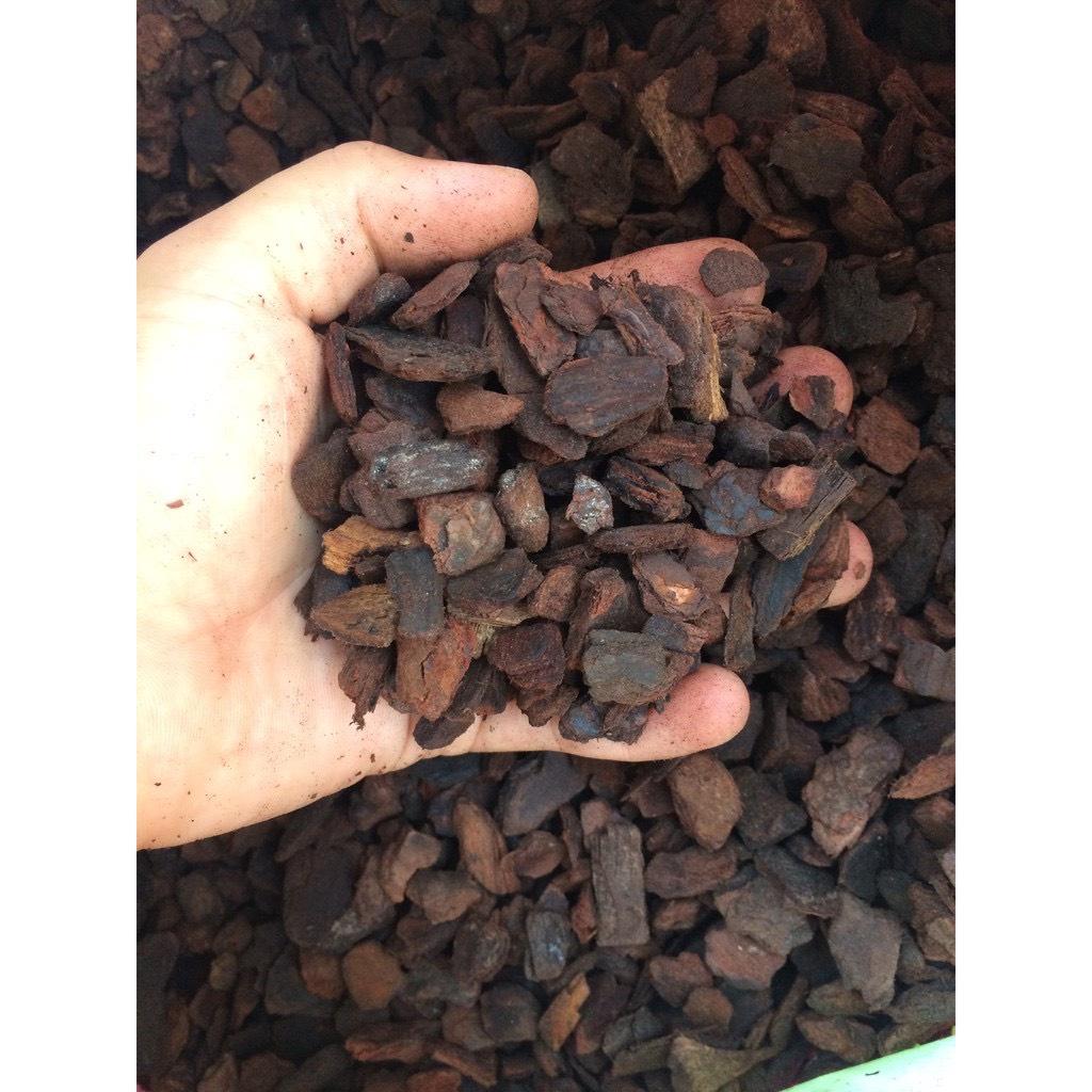 1kg Vỏ thông Orchiata New Zealand - giá thể trồng hoa lan cao cấp