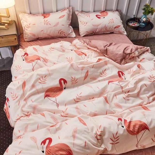 Chăn ga gối cotton poly - Hạc cam siêu phẩm!