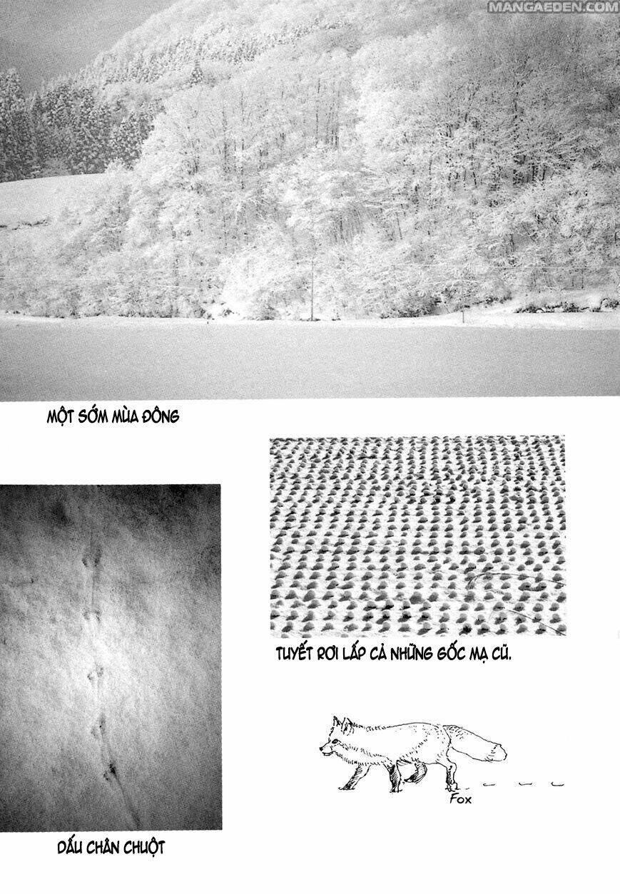 little forest chapter 29 8