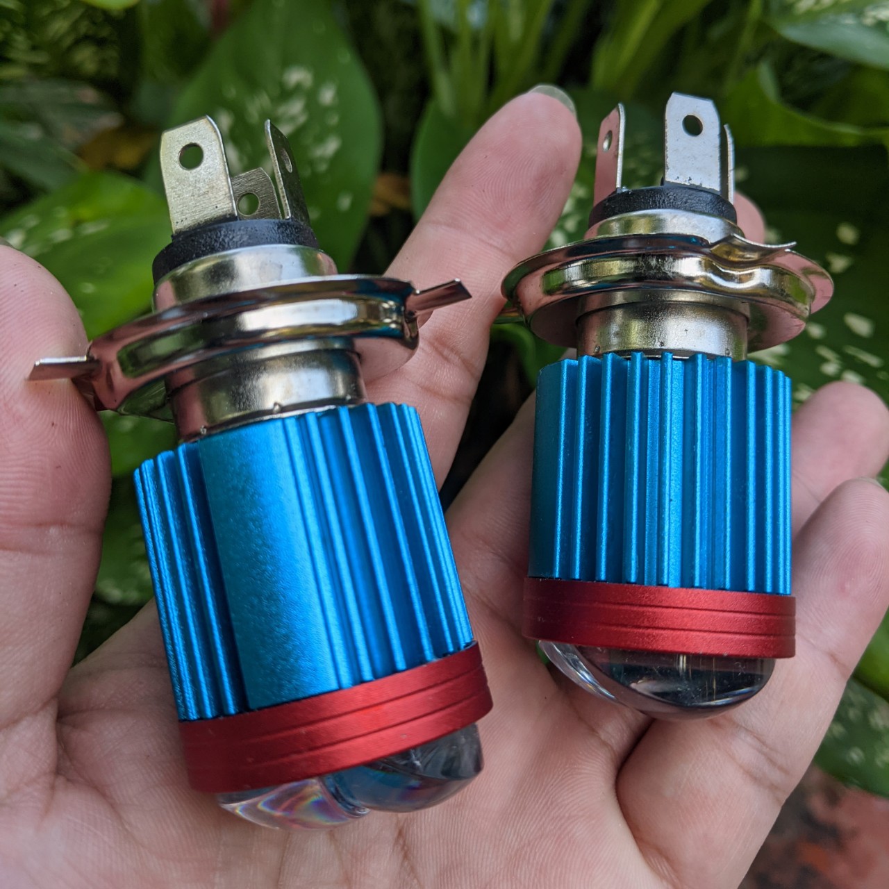 Đèn pha xe máy led bi cầu Z02 cốt vàng pha trắng hàng cao câp