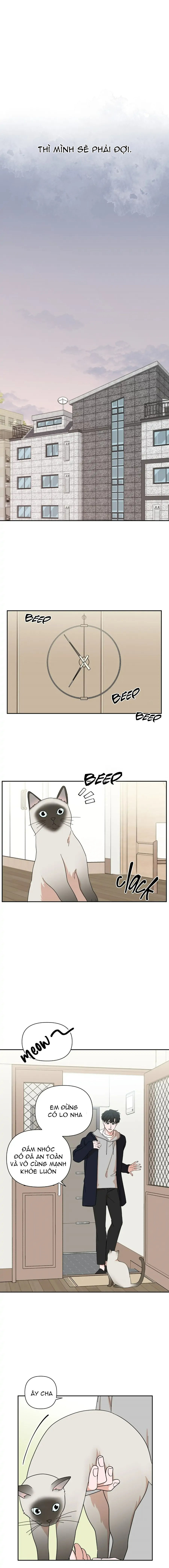 chàng trai ngọt ngào chapter 14.1 11