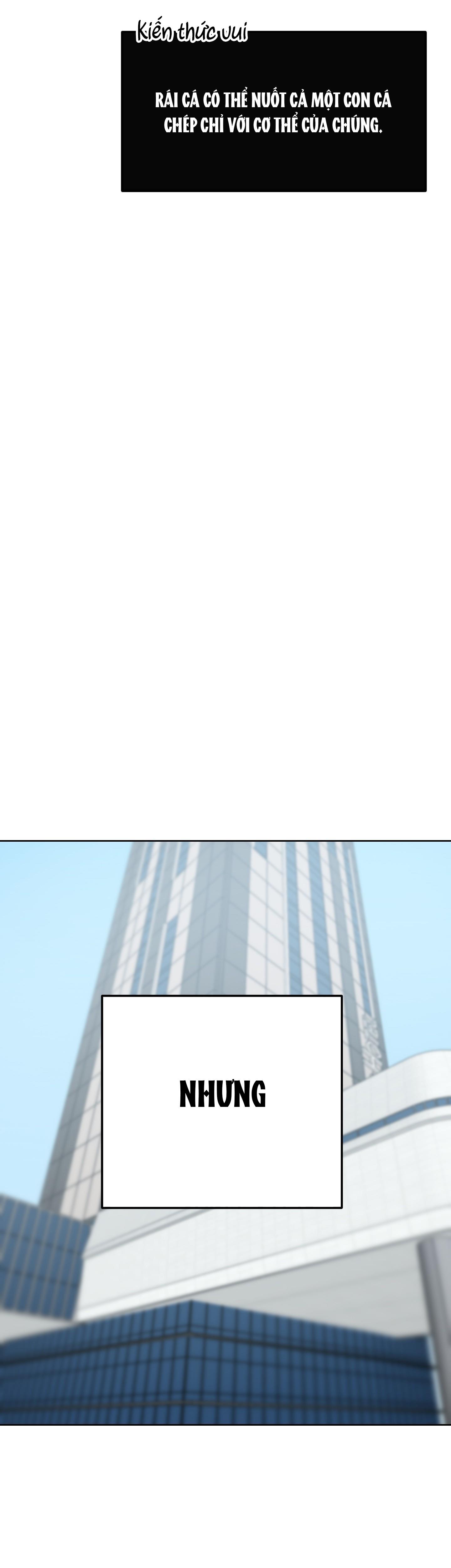 chú thỏ chỉ cần 3 giây là xuất tinh chapter 1 22