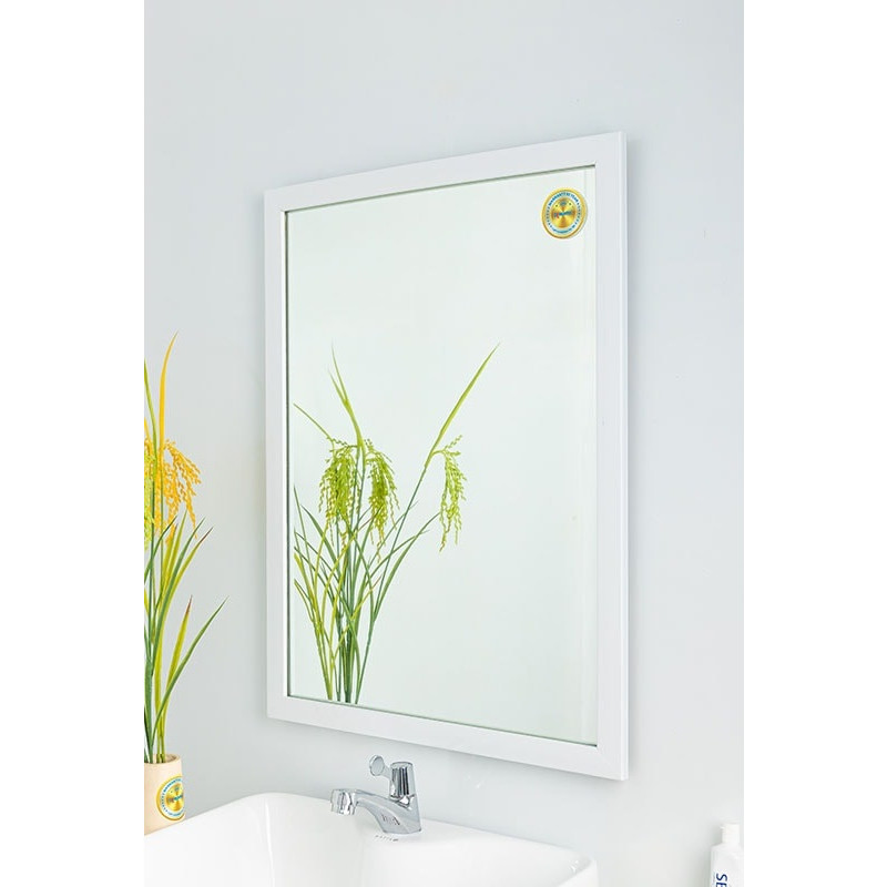 Gương soi Kibath KT 35x50 cm