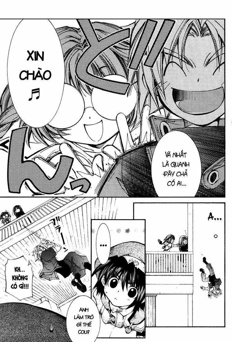 erementar gerad chapter 19 6