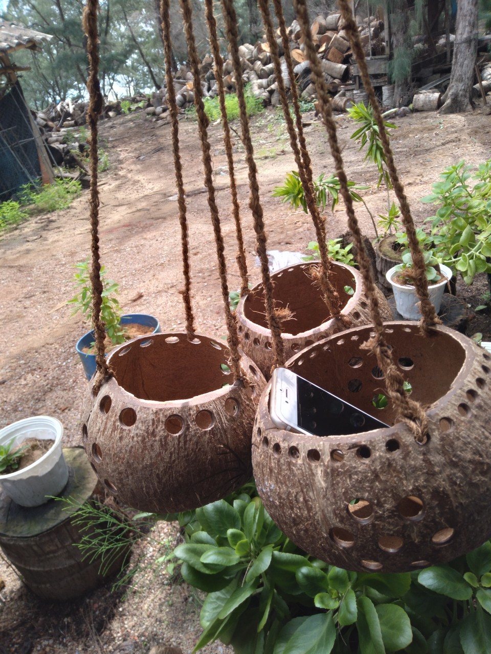 COMBO 3 CHẬU TRỒNG CÂY BẰNG GÁO DỪA SIZE LỚN DÀY MÀU TỰ NHIÊN